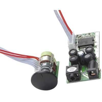 DTA-2 Class D Digital Audio Amplifier Module