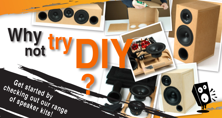Why not try our DIY speaker kits