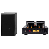 160BT-BR1ASM - 160W TUBE AMP & 2 WAY MINI-MONITORS BUNDLE