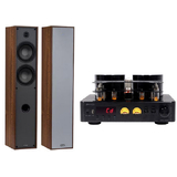 160BT-T65WD - 160W WIRELESS BT AMPLIFIER & 2 WAY TOWER SPEAKER BUNDLE