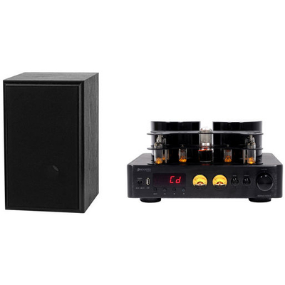 160BT-BR1ASM - 160W TUBE AMP & 2 WAY MINI-MONITORS BUNDLE